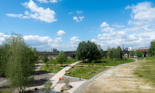 Parc Saint-Sauveur à Lille