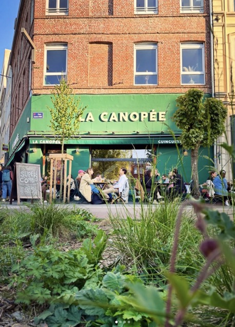 Canopée Lille