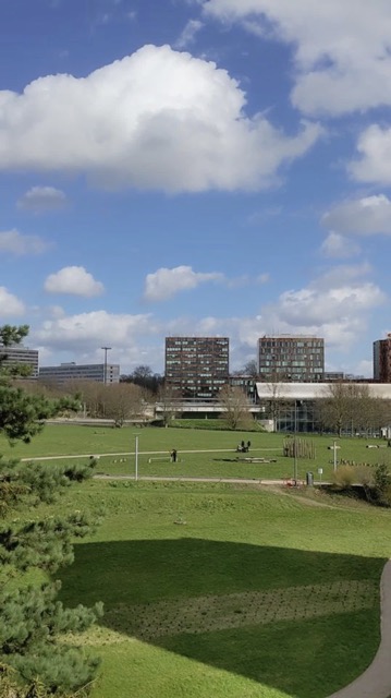 Parc Matisse Lille