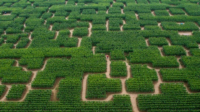 © pop corn labyrinthe moyenne