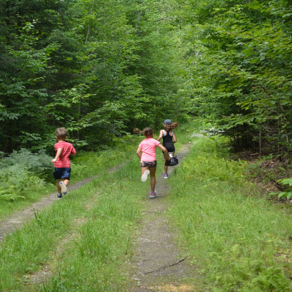 course trail forêt nature