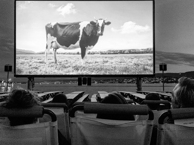 cinéma plein air soirée été transat ciné - libre de droit