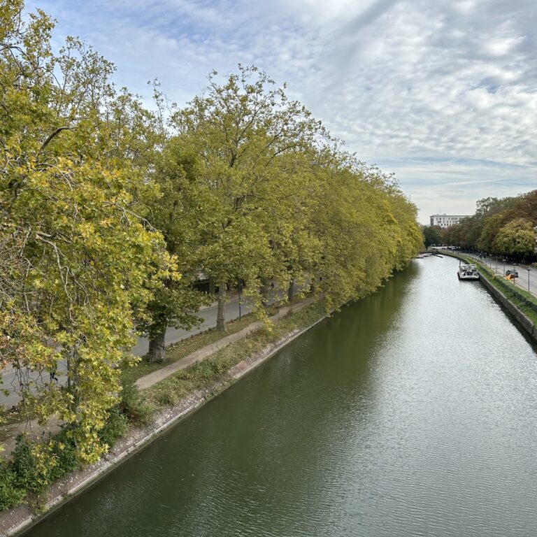 img 2755