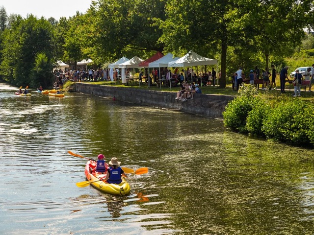 festif canal 3 moyenne