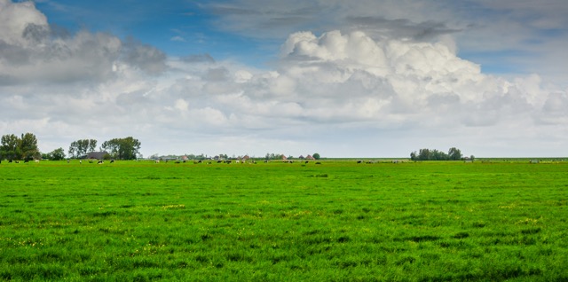 Flandre paysage