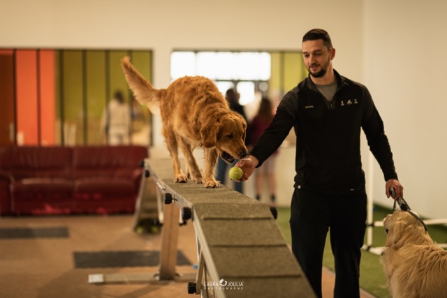 Woofland Saint André lez Lille
