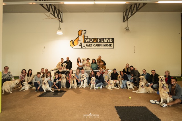 Woofland Saint André lez Lille