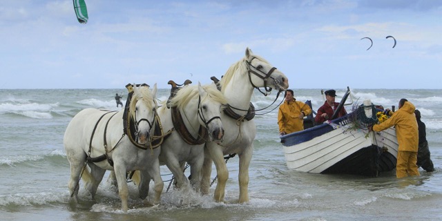Fête du Flobart © Hauts-de-France Tourisme
