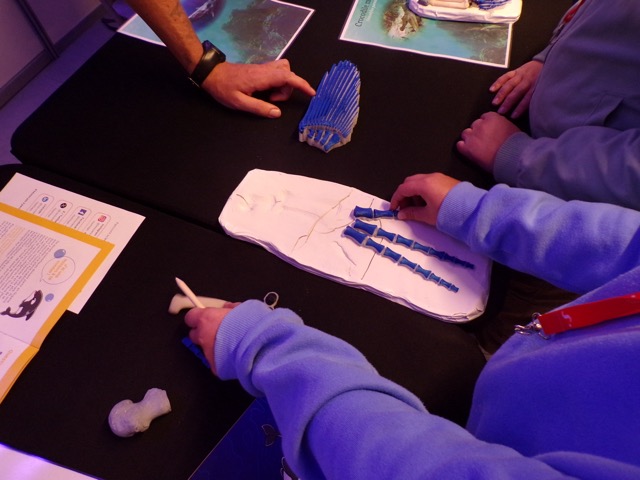 Festival des Sciences © Université de Lille
