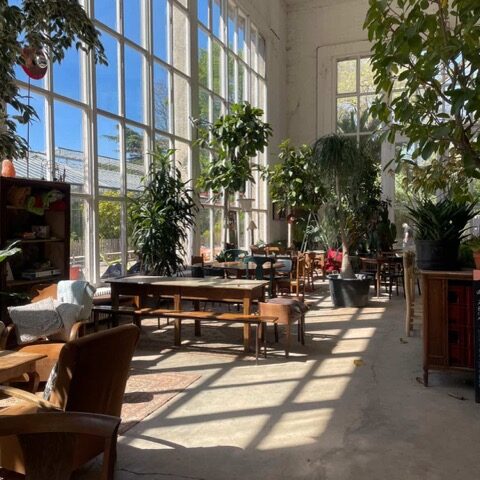 L'Orangerie à Lille