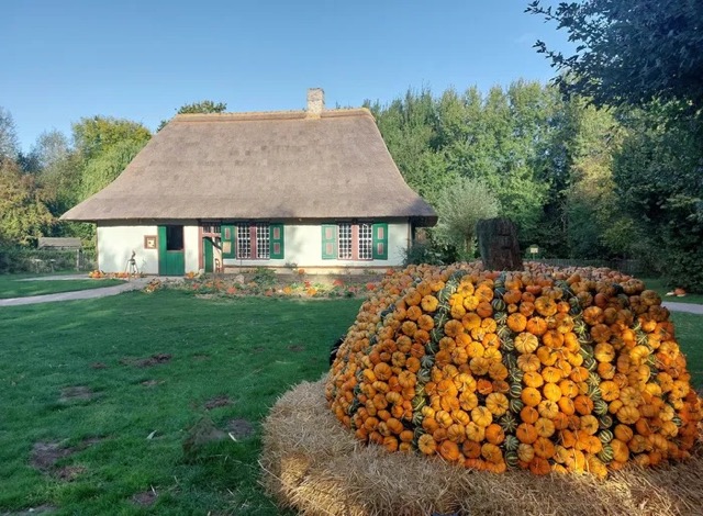 fête de la citrouille moyenne