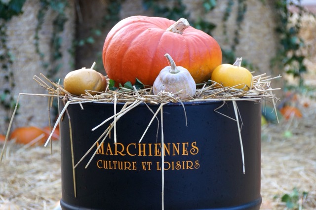 les Cucurbitades - Fête de la courge et de la sorcellerie à Lille
