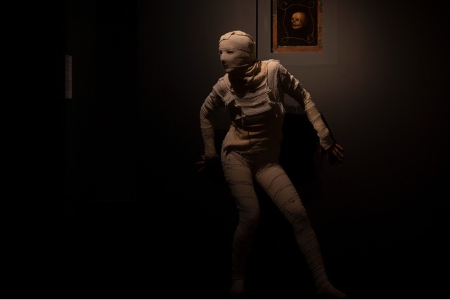 Nuit des Ombres au Palais Beau Arts