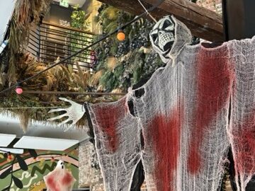 Halloween à la Canopée 